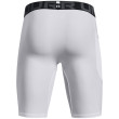 Calzoncillos funcionales de hombre Under Armour HG Armour Lng Shorts