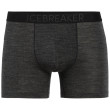 Calzoncillos bóxer para hombre Icebreaker Anatomica Cool-Lite Boxers gris oscuro BlackHthr