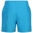 Pantalones cortos de hombre Regatta Mawson SwShortIII