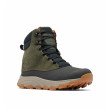 Botas de invierno para hombre Columbia Expeditionist™ Shield verde oscuro Deep Olive, Desert Sun