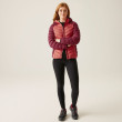 Chaqueta de invierno para mujer Regatta Women Hooded Dalent