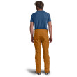 Pantalones de hombre Ortovox Cevedale Pants M