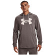 Sudadera de hombre Under Armour Rival Terry Logo Hoodie