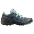 Calzado de mujer Salomon Speedcross 5 GTX W azul/verde black