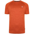 Camiseta de hombre Dare 2b Persist Tee naranja BurntBrckMrl