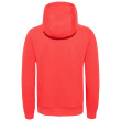 Sudadera de hombre The North Face Drew Peak Pullover Hoodie