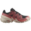 Calzado de mujer Salomon Speedcross 6 Gore-Tex