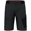 Pantalones cortos de hombre Salewa Pedroc 3 Dst M Cargo Shorts negro 0910 - black out