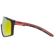 Gafas Uvex MTN PERFORM