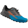 Zapatillas de carrera para hombre Dynafit Alpine azul/gris Magnet/Frost