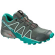 Calzado de mujer Salomon Speedcross 4 GTX® W gris/verde BalsamGr/Tropic