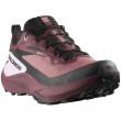 Calzado de mujer Salomon Genesis Gore-Tex