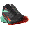 Zapatillas de carrera para hombre Salomon Sense Ride 5 gris/verde Black / Bay / Cherry Tomato