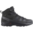 Calzado de hombre Salomon Quest Rove Gore-Tex