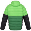 Chaqueta de hombre Regatta Harrock II