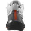 Calzado de senderismo para hombre Salomon Elixir Activ Mid Gore-Tex