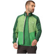 Sudadera de hombre Regatta Coladane V