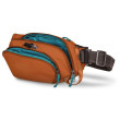 Riñonera Pacsafe ECO waist pack