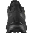 Calzado de hombre Salomon Alphacross 3 Gore-Tex