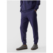 Pantalones de chándal para hombre 4F Trousers M0943