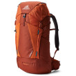 Mochila para jóvenes Gregory Wander 30 rojo Redrock