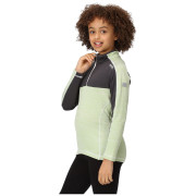 Sudadera para niños Regatta Hewley