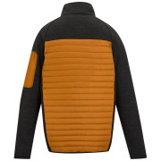 Chaqueta de hombre Regatta Ceden Hybrid