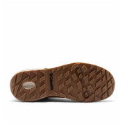 Zapatos trekking hombre Columbia Newton Alpine Pt™