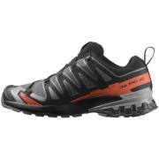 Calzado de senderismo para hombre Salomon Xa Pro 3D V9 Gore-Tex