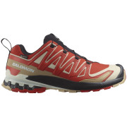 Calzado de senderismo para hombre Salomon Xa Pro 3D V9 Gore-Tex