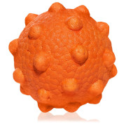 Juguete para perro Explorer Dog AirBall Tips 8 cm naranja Oranžová