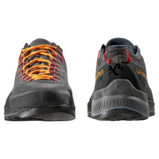 Calzado de hombre La Sportiva TX4 Evo