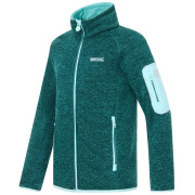 Sudadera para niños Regatta Junior Newhill DrkForGlacGr