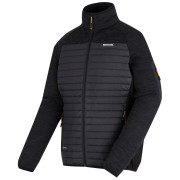 Chaqueta de hombre Regatta Ceden Hybrid