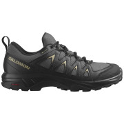 Calzado de hombre Salomon X Braze Gore-Tex