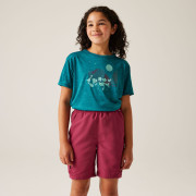 Camiseta para niños Regatta Alvarado IX