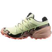 Calzado de mujer Salomon Speedcross 6 Gore-Tex