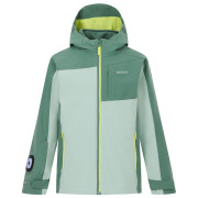 Chaqueta para niños Regatta Boys Trekktain 3-in-1 II DrkForGlac verde DrkForGlac