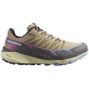 Calzado de mujer Salomon Thundercross marrón Slate Green / Plum Kitten / Blue Heron