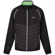 Chaqueta de hombre Regatta Steren Hybrid negro/gris Black(Jasmine Green)