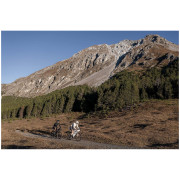 Alforja para cuadro Cyclite Frame Bag Small / 02