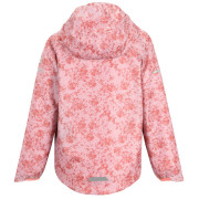 Chaqueta para niños Regatta Printed Lever II PinHzGrdDis