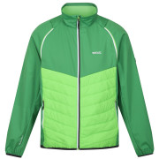 Chaqueta de hombre Regatta Steren Hybrid verde Field Green/Jasmine Green