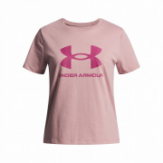 Camiseta para niños Under Armour BIG LOGO SS-PNK rosa claro Pink