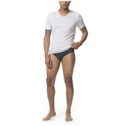 Calzoncillos de hombre Icebreaker Mens Anatomica Briefs