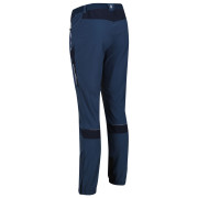 Pantalones de hombre Regatta Mountain Trs III regular