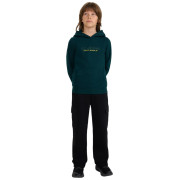 Sudadera para niños 4F Sweatshirt M1959