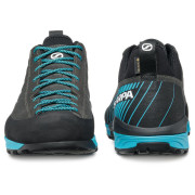 Calzado de hombre Scarpa Mescalito GTX