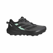 Zapatillas de carrera para mujer Adidas Terrex Tracefinder Plus Gtx gris Grefiv/Cblack/Carbon