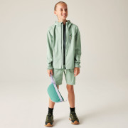 Chaqueta para niños Dare 2b Kids Switch II Jacket GlacierGreen
